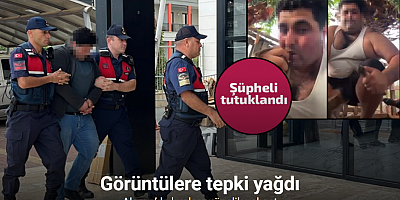 Alanya’da kuşlara vahşet uygulayan şüpheli tutuklandı