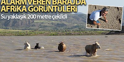 Alarm veren barajda Afrika'yı aratmayan görüntüler