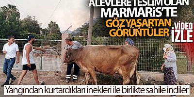 Alevlere teslim olan Marmaris'te göz yaşartan görüntüler