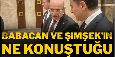 Ali Babacan ve Mehmet Şimşek'in resepsiyonda ne konuştuğu ortaya çıktı!