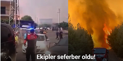 Aliağa’daki yangın Foça’ya doğru genişledi, bazı evler tahliye edildi