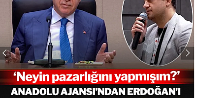 Anadolu Ajansı'ndan Erdoğan'ı şaşırtan soru: 'Ne pazarlığı yapmışım?'