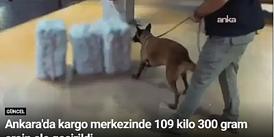 Ankara'da kargo merkezinde 109 kilo 300 gram eroin ele geçirildi