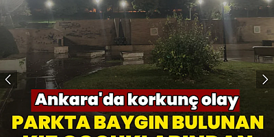 Ankara'da korkunç olay: Parkta baygın bulunan kız çocuklarından 1'i hayatını kaybetti