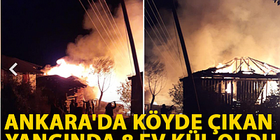 Çıkan yangında 8 ev kül oldu