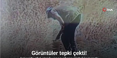 Ankara’da otluk alanda yangın çıkaran şüpheli kamerada