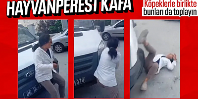 Ankara'da sözde hayvansever, köpekler için kendini yerden yere attı