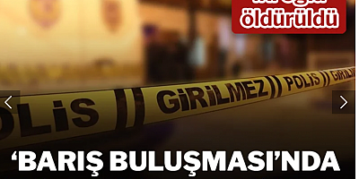Anne ve iki oğlu, barışmak için gittikleri evde öldürüldü