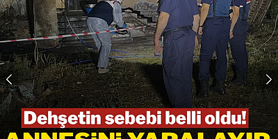 Annesini yaralayıp iş arkadaşını öldürdü: Dehşetin sebebi belli oldu
