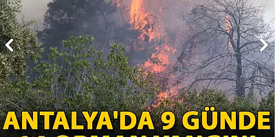 Antalya'da 9 günde 14 orman yangını