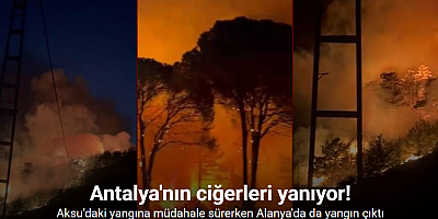 Antalya'nın Alanya ve Aksu ilçelerinde orman yangını