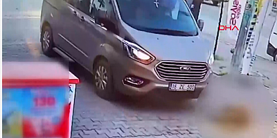 Aracıyla köpeği ezip kaçtı; o anlar kamerada