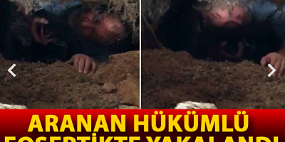 Aranan hükümlü foseptikte yakalandı