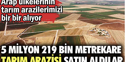 Arap ülkelerinin tarım arazilerimizi bir bir alıyor. 5 milyon 219 bin metrekare tarım arazisi satın aldılar