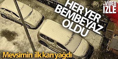 Ardahan'da mevsimin ilk karı yağdı