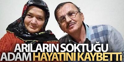 Arıların soktuğu talihsiz adam yaşamını yitirdi