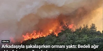 Arkadaşıyla şakalaşırken ormanı yaktı: Bedeli ağır oldu, faturası milyonlar!