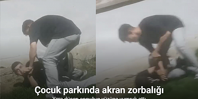 Arnavutköy’de çocuk parkında akran zorbalığı kamerada