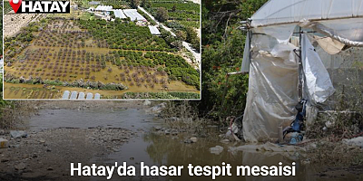 Aşırı yağışlarla sular altında kalan tarım arazilerindeki hasar sular çekilince ortaya çıktı