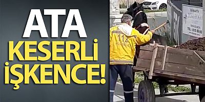 Ata keserli işkence