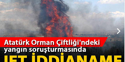 Atatürk Orman Çiftliği'ndeki yangın soruşturmasında jet iddianame