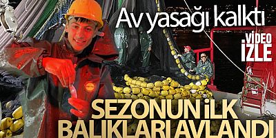 Av yasağı kalktı: Sezonun ilk balıkları avlandı