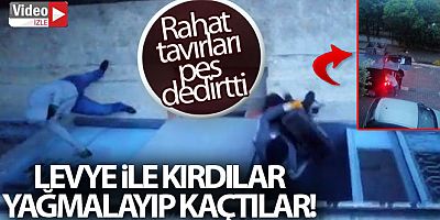 Avcılar'da sabah saatlerinde şoke eden hırsızlık anları