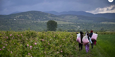 Avrupa'nın en az yaşayan ülkesi belli oldu