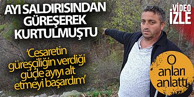 Ayı ile güreşen Tokatlı taburcu oldu, ayıdan haber yok