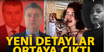 Azra'nın parçalara ayırılıp, valizle ormana gömülen cesedi bulundu