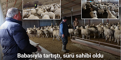 Babasıyla tartıştı, vadeli koyun alarak kendi sürüsüne sahip oldu