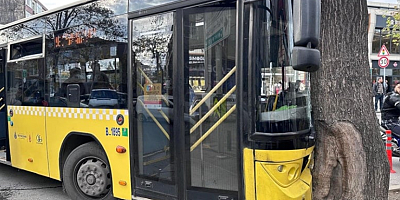Bağcılar'da İETT otobüsü ağaca çarptı