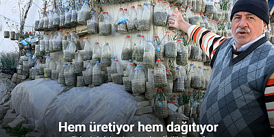 Bahçede yetiştiremeyince çözümü evinin duvarında buldu