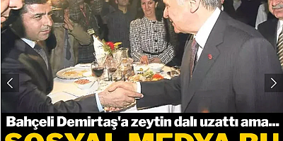 Bahçeli Demirtaş'a zeytin dalı uzattı, sosyal medya bu paylaşımları hatırlattı