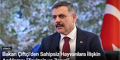 Bakan Çiftçi’den Sahipsiz Hayvanlara İlişkin Açıklama: “Tavizsiz ve Zaruri”