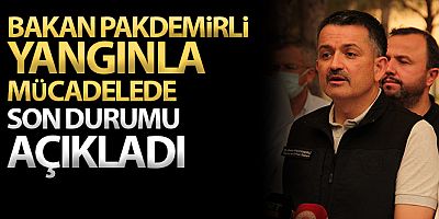 Bakan Pakdemirli: '125 yangından 117'si kontrol altına alındı, 8 noktada yangın devam ediyor'