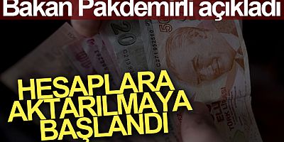 Bakan Pakdemirli: '138 milyon 343 bin liralık destek ödemesi hesaplara aktarılmaya başlandı'