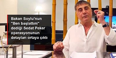 Bakan Soylu'nun 