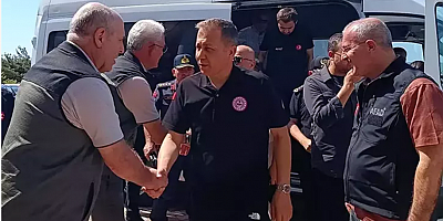 Bakan Yerlikaya: Çanakkale'deki yangında 1000 hektar alan zarar gördü
