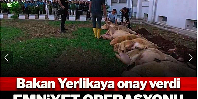 Bakan Yerlikaya onay verdi: Emniyet operasyonu böyle kutladı