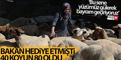Bakanın hediye ettiği 40 koyun 80'e çıktı
