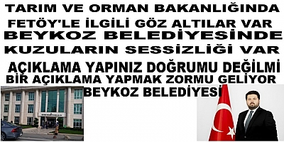 Bakanlıkta Fetöy’le İlgili Göz Altılar Var Beykoz Belediyesinde Sessizlik Var