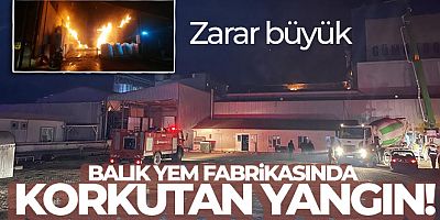 Balık yemi fabrikasındaki yangın kontrol altına alındı