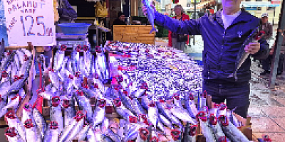 Balıkçıları hayrete düşüren bolluk