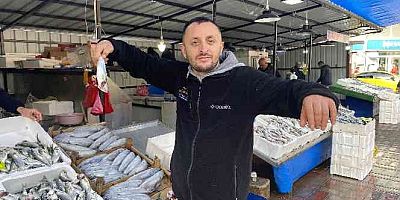 Balıkçıların yüzü hamsiyle güldü