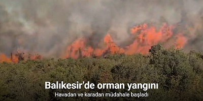 Balıkesir’de orman yangını