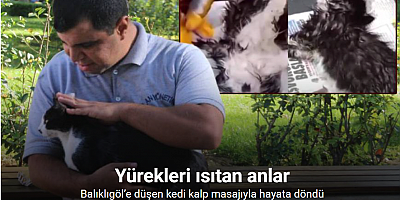 Balıklıgöl’e düşen kedi kalp masajıyla hayata döndü