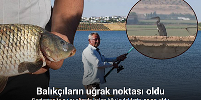 Baraj sularına gömülen köy, leyleklerin yuvası ve balıkçıların uğrak noktası oldu
