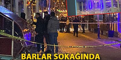 Barlar sokağında tartıştığı mekan çalışanını silahla vurup, öldürdü