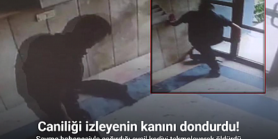 Başakşehir'de vicdanları sızlatan olay: Kediyi tekmeleyerek öldürdü